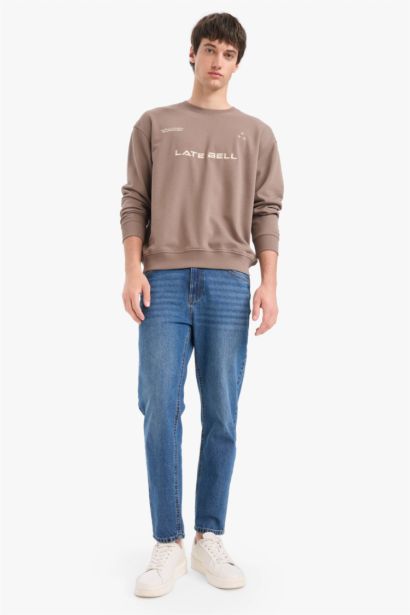 Cotton Boxy Fit Crew Neck Embroidered Sweatshirt