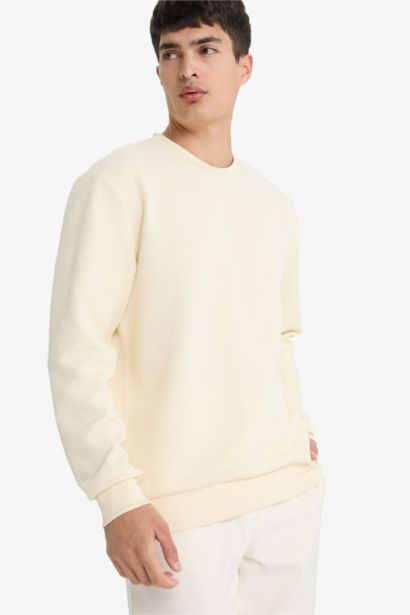 Sweatshirt col rond Coupe régulière