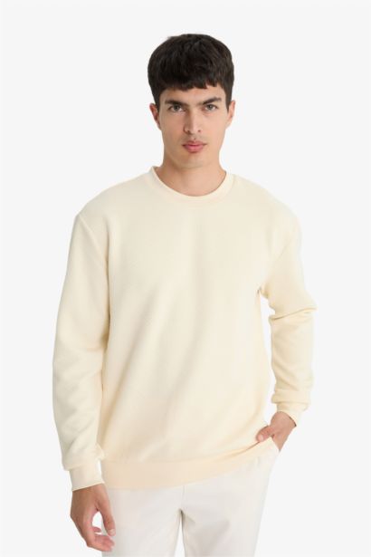 Sweatshirt col rond Coupe régulière