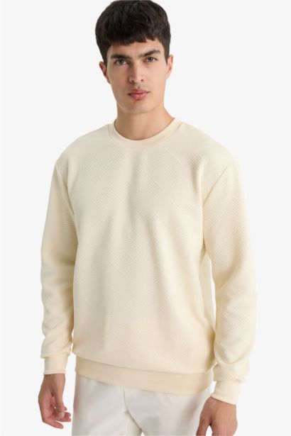 Sweatshirt col rond Coupe régulière