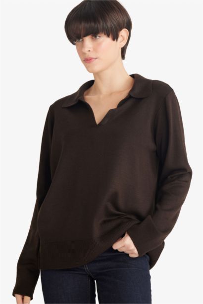 Regular Fit Polo Collar Knit Pullover