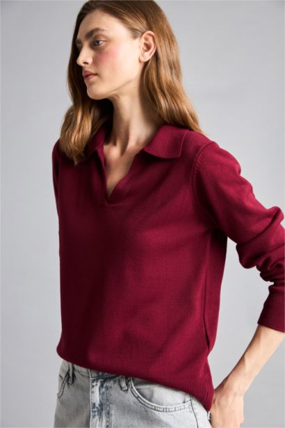 Regular Regular Fit Polo Collar Pullover