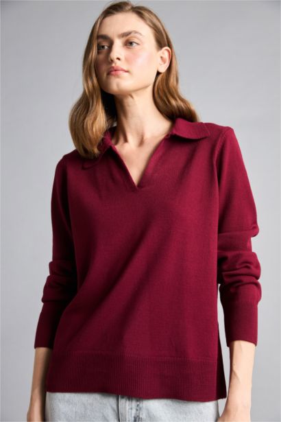 Regular Regular Fit Polo Collar Pullover