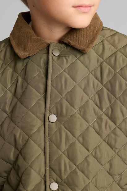 Boy Waterproof Polo Collar Plush Lined Jacket