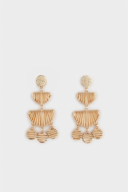 Woman Wicker Detailed Dangling Earrings
