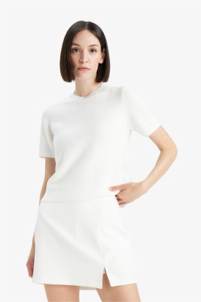 Regular Fit Crew Neck Embroidered Knitwear Pullover