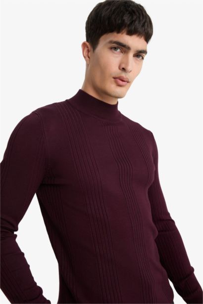 Standard Fit Half Turtleneck Knitwear Pullover