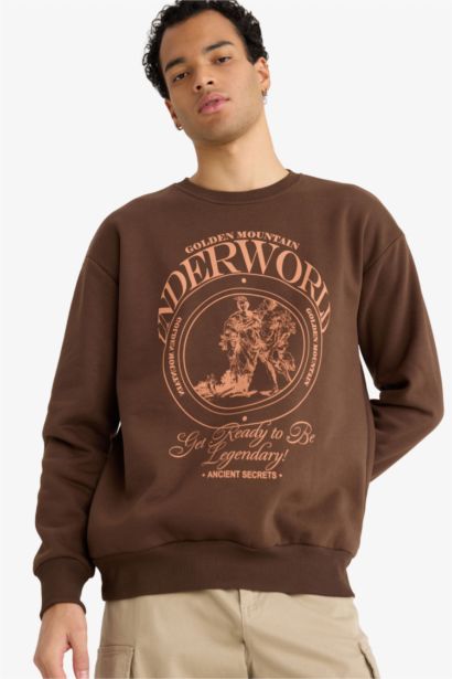 Boxy Fit Printed Sweatshirt