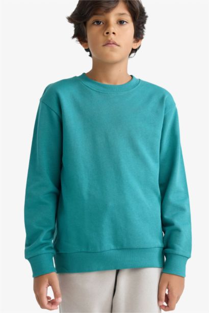 Boy Regular Fit Crew Neck Basic Sweatshirt
