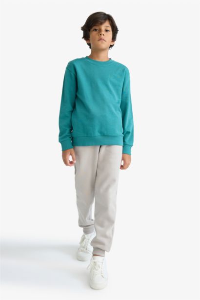 Boy Regular Fit Crew Neck Basic Sweatshirt
