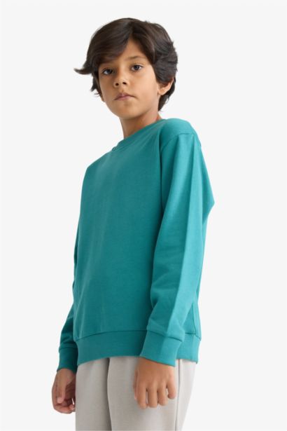 Boy Regular Fit Crew Neck Basic Sweatshirt