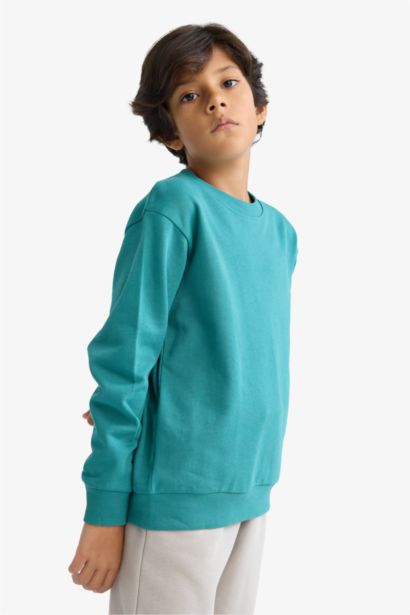 Boy Regular Fit Crew Neck Basic Sweatshirt