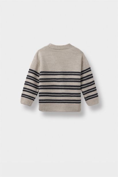 Baby Boy Regular Fit Stripped Knit Cardigan