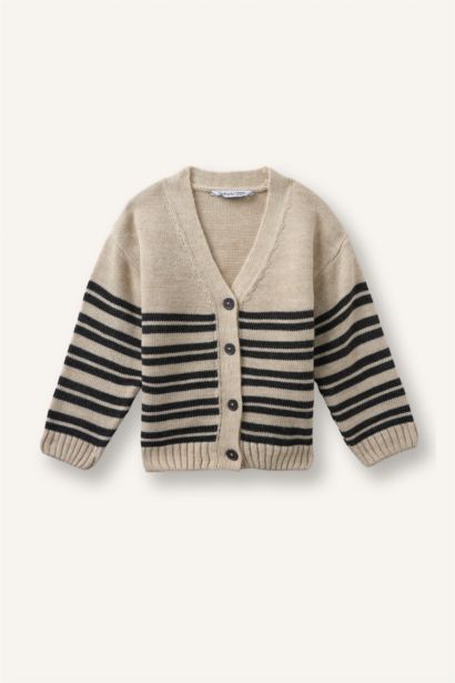 Regular Fit V-Neck Cardigan