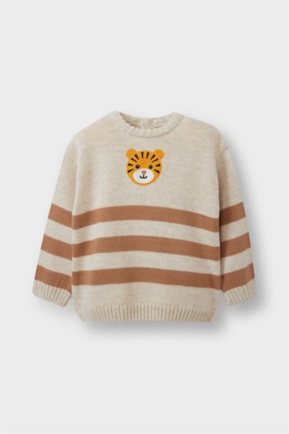Baby Boy Regular Fit Pullover