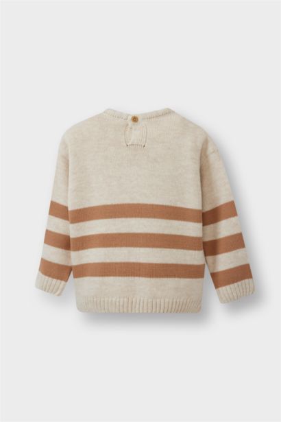 Baby Boy Regular Fit Pullover