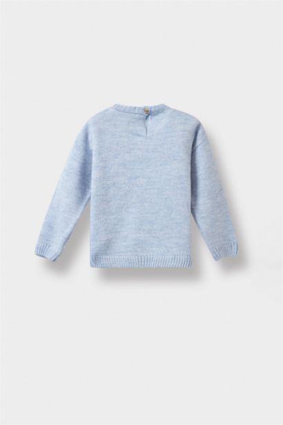 Baby Girl Regular Fit Crew Neck Pullover