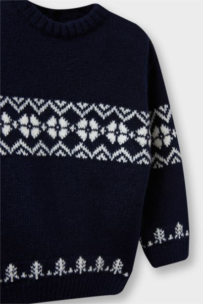 Baby Boy Crew Neck Patterned Knit Pullover
