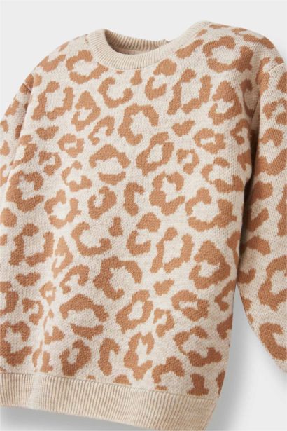 Baby Girl Regular Fit Crew Neck Pullover