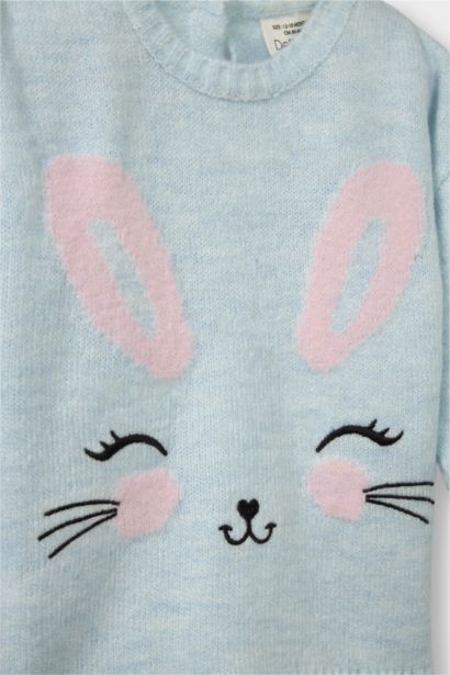 Baby Girl Regular Fit Animal Crew Neck Pullover