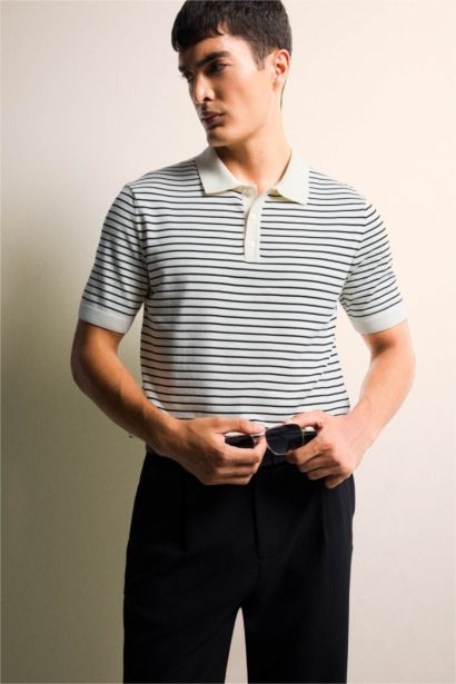 Standard Fit Striped Knit Polo T-shirt