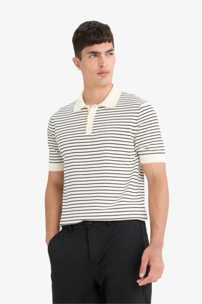 Standard Fit Striped Knit Polo T-shirt