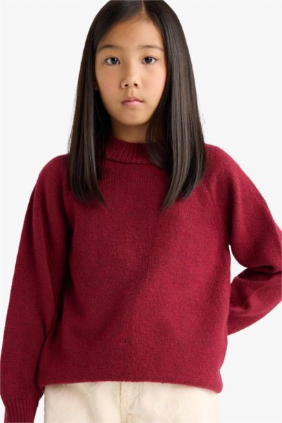 Girl Regular Fit Crew Neck Pullover