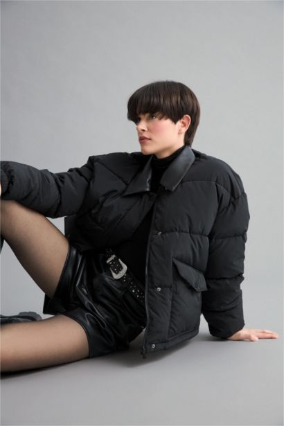 Waterproof Regular Fit Polo Neck Jacket