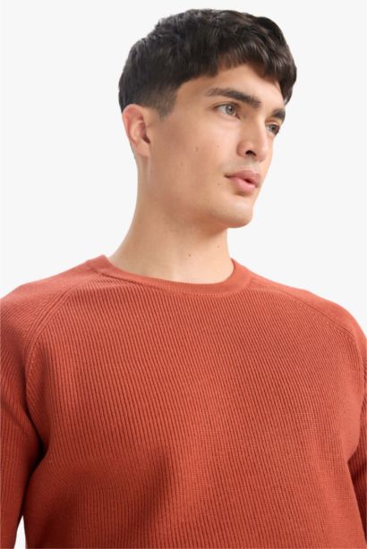 Standard Fit Crew Neck Knitwear Pullover