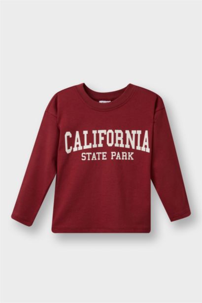 Baby Boy Regular Fit Crew Neck Slogan Printed 2 Piece T-Shirt