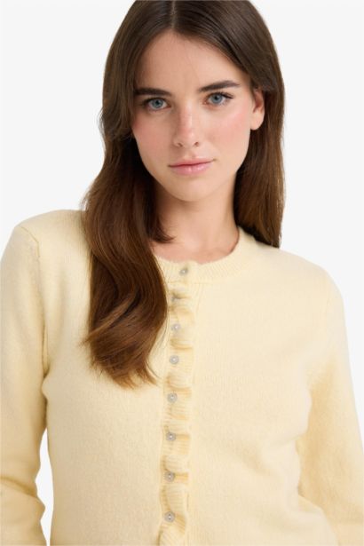 Regular Fit Crew Neck Knitwear Cardigan