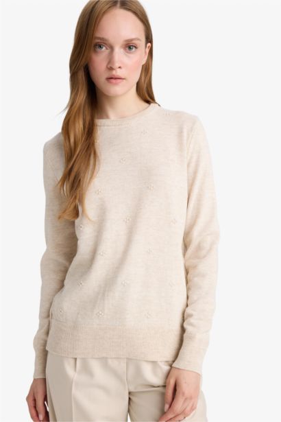Regular Fit Crew Neck Knitwear Pullover