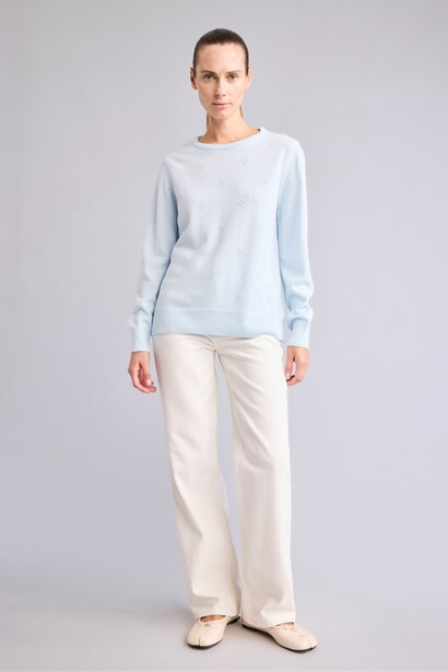 Regular Fit Knitwear Pullover