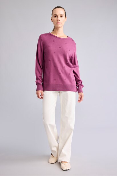 Regular Fit Knitwear Pullover