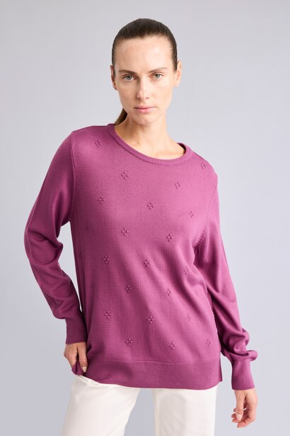 Regular Fit Knitwear Pullover