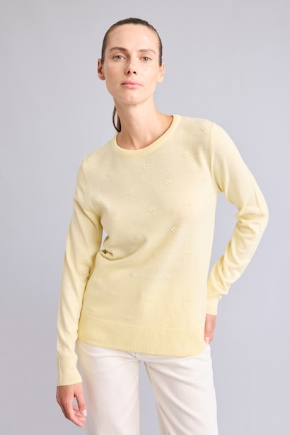 Regular Fit Knitwear Pullover