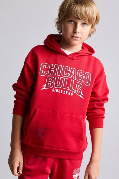 Regular Fit Chicago Bulls Licensed Hooded Sweatshirt