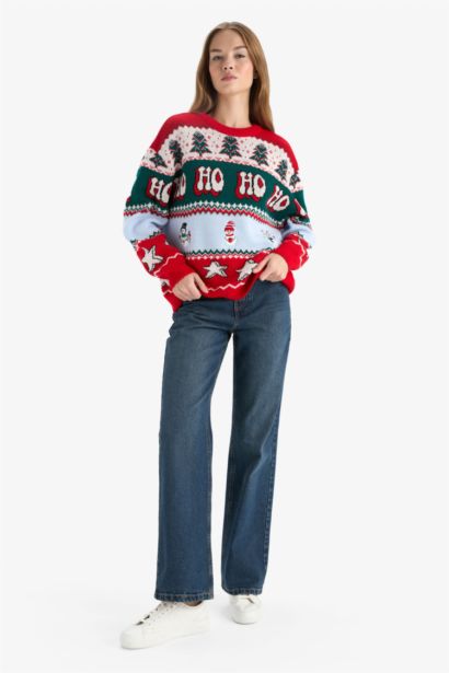 Regular Fit Crew Neck Christmas Pullover