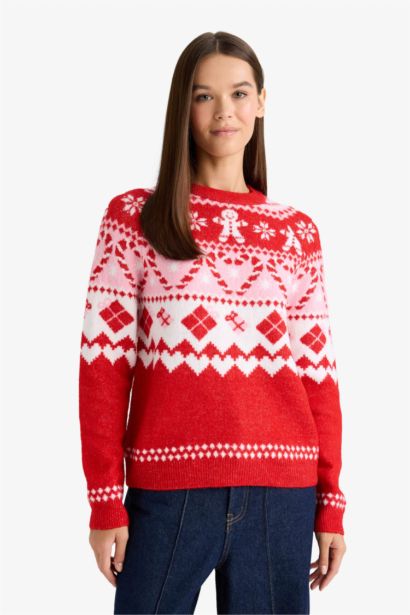Christmas Themed Regular Fit Color Block Pullover