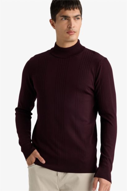 Standard Fit Turtleneck Knitwear Pullover