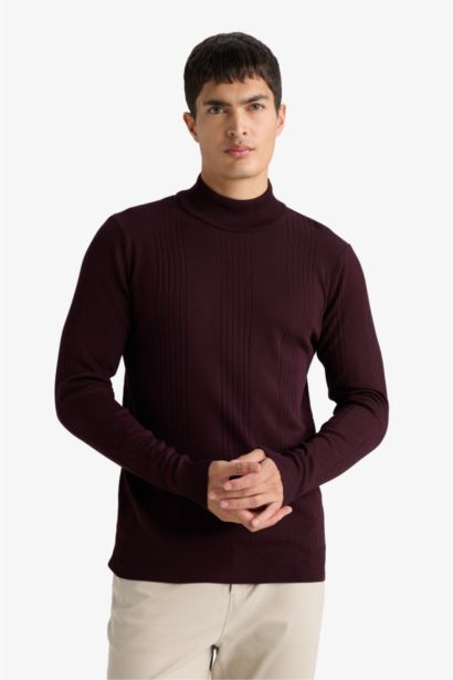 Standard Fit Turtleneck Knitwear Pullover