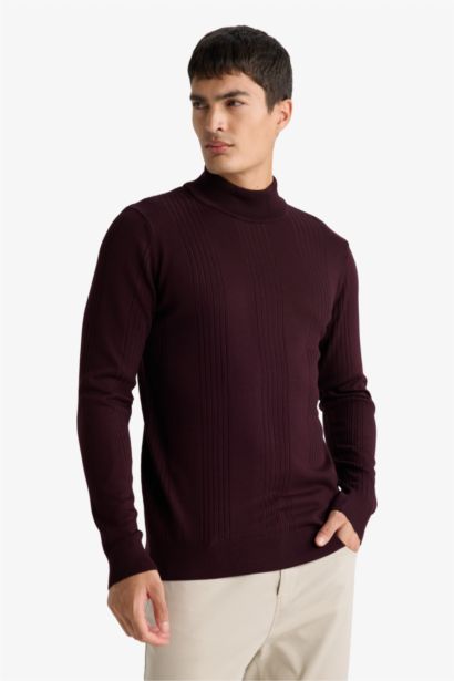 Standard Fit Turtleneck Knitwear Pullover