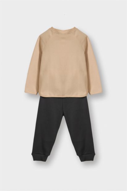 Baby Boy Tiger Print Sweatshirt Sweatpants 2 Piece Set