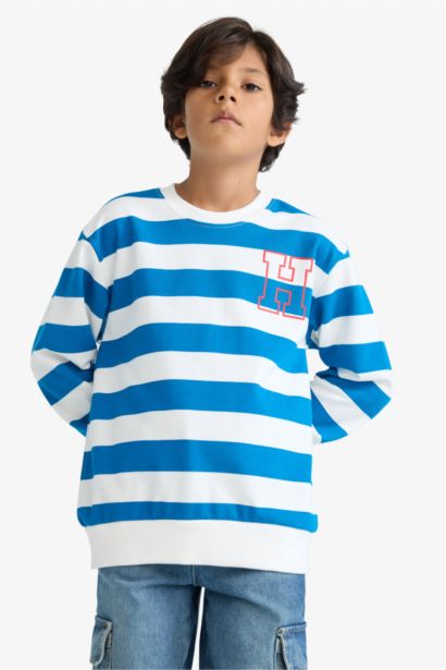 Boy Crew Neck Striped Sweatshirt