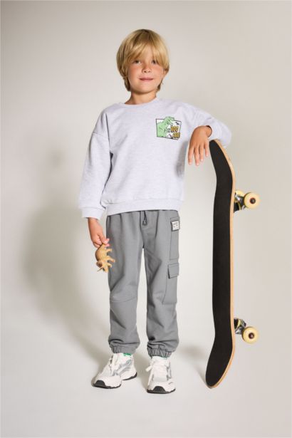 Baby Boy Crew Neck Dinosaur Printed Sweatshirt