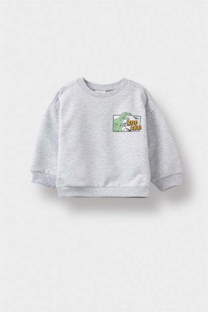 Baby Boy Crew Neck Dinosaur Printed Sweatshirt