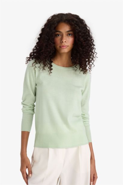 Regular Fit Crew Neck Pullover