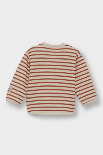 Baby Boy Crew Neck Striped Sweatshirt