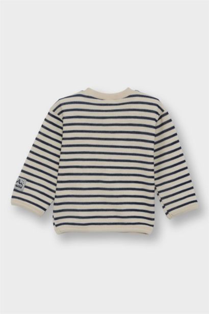 Baby Boy Crew Neck Striped Sweatshirt