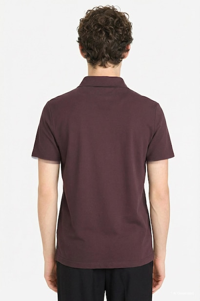 Regular Fit Short Sleeve Polo T-Shirt